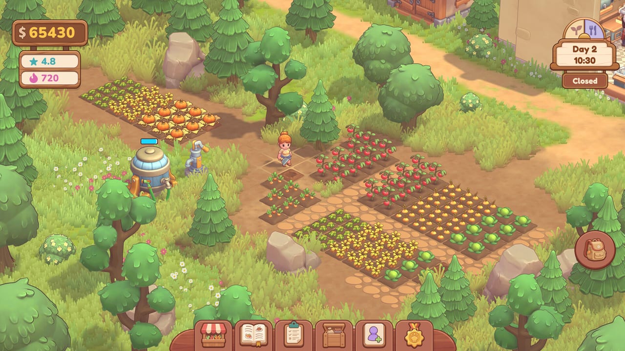 Farm & Feast crop plots with tomatoes, carrots, pumpkins, and a water tank beside the path